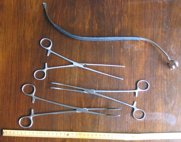 stimmsetzer und darmklemmen